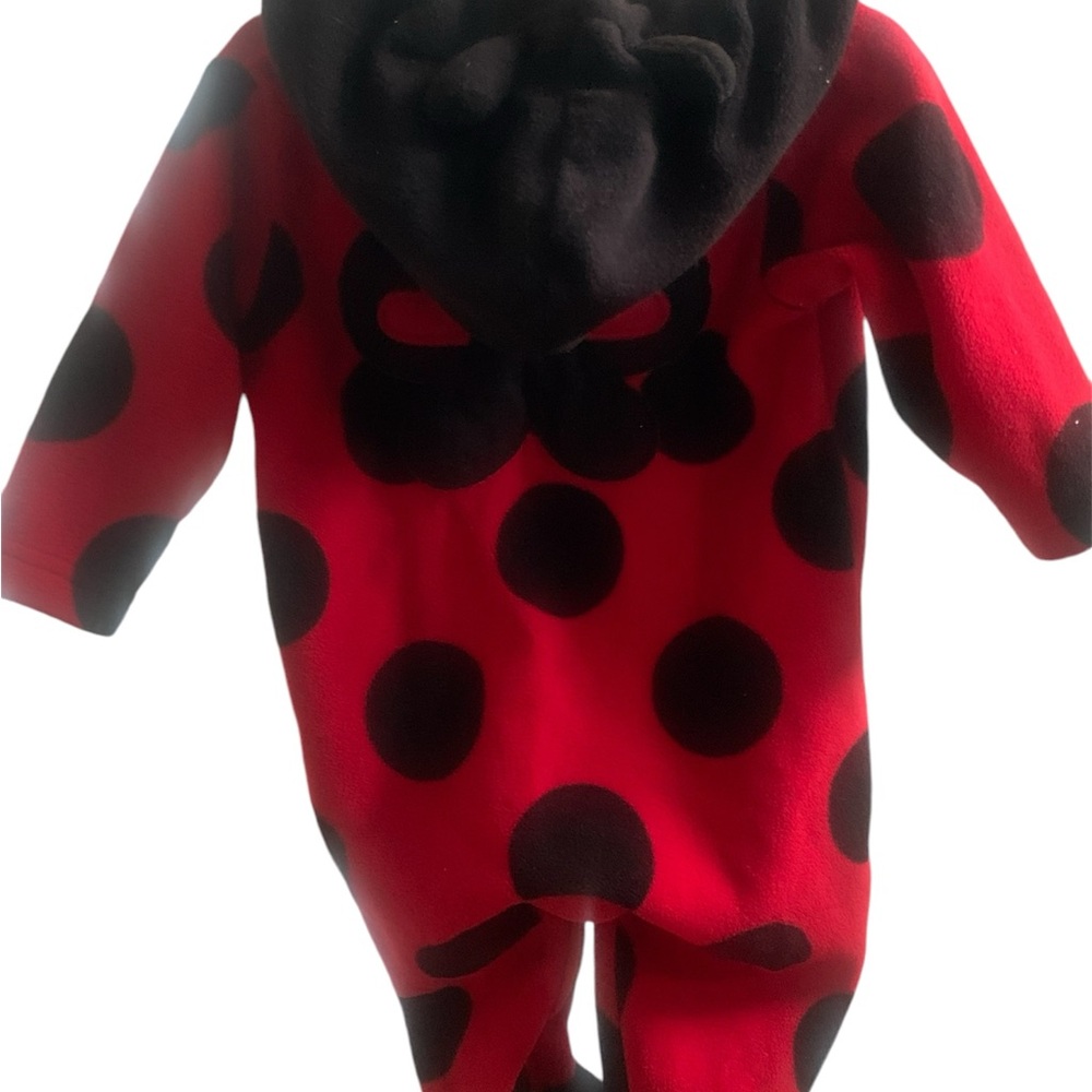 Baby ladybug costume